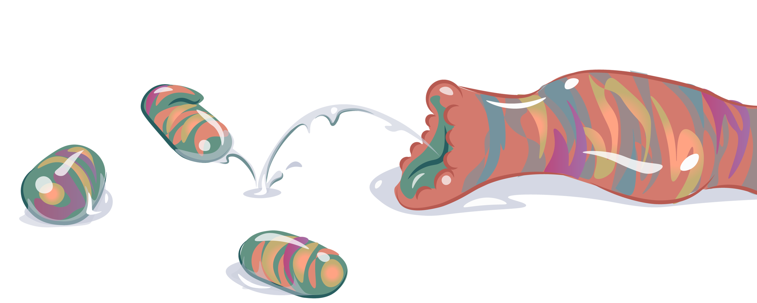 illustration d'un ovipositeur et d'œufs