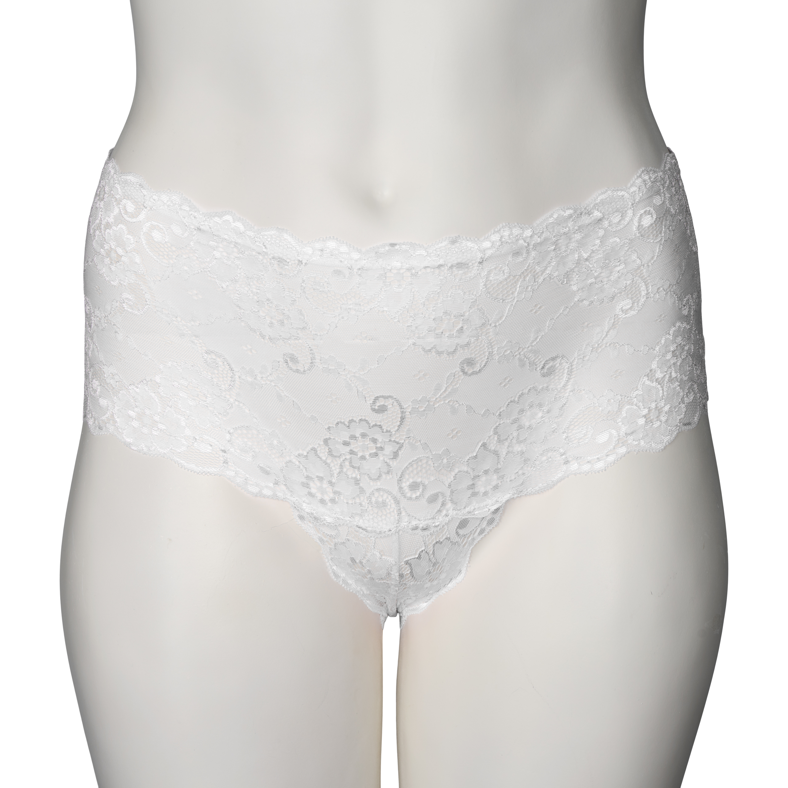 NORTIE Evening-Promise High-Waisted Hipster Plus Size var 1