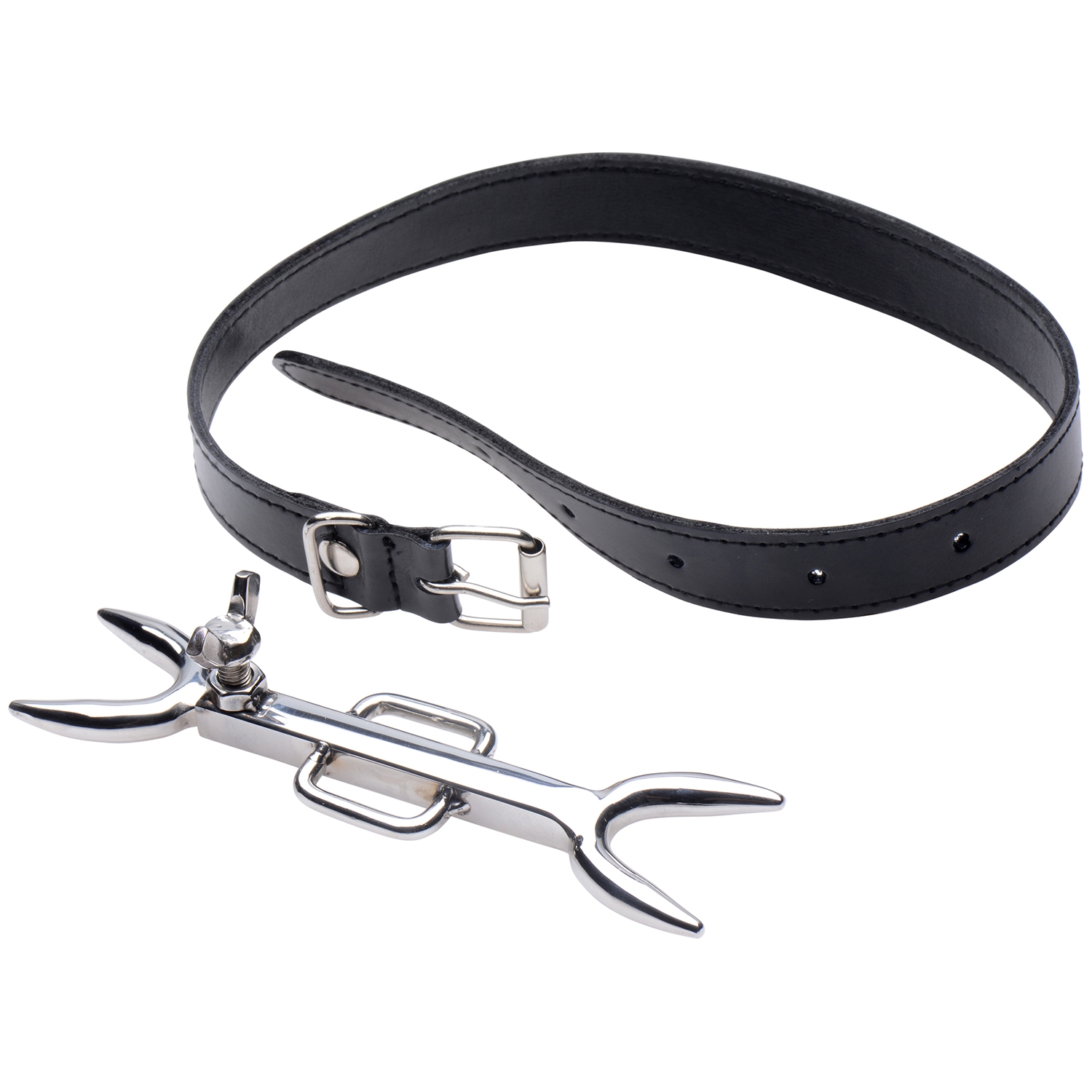 Strict Leather Heretics Fork Halsband 1