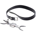 Strict Leather Heretics Fork Halsband 1