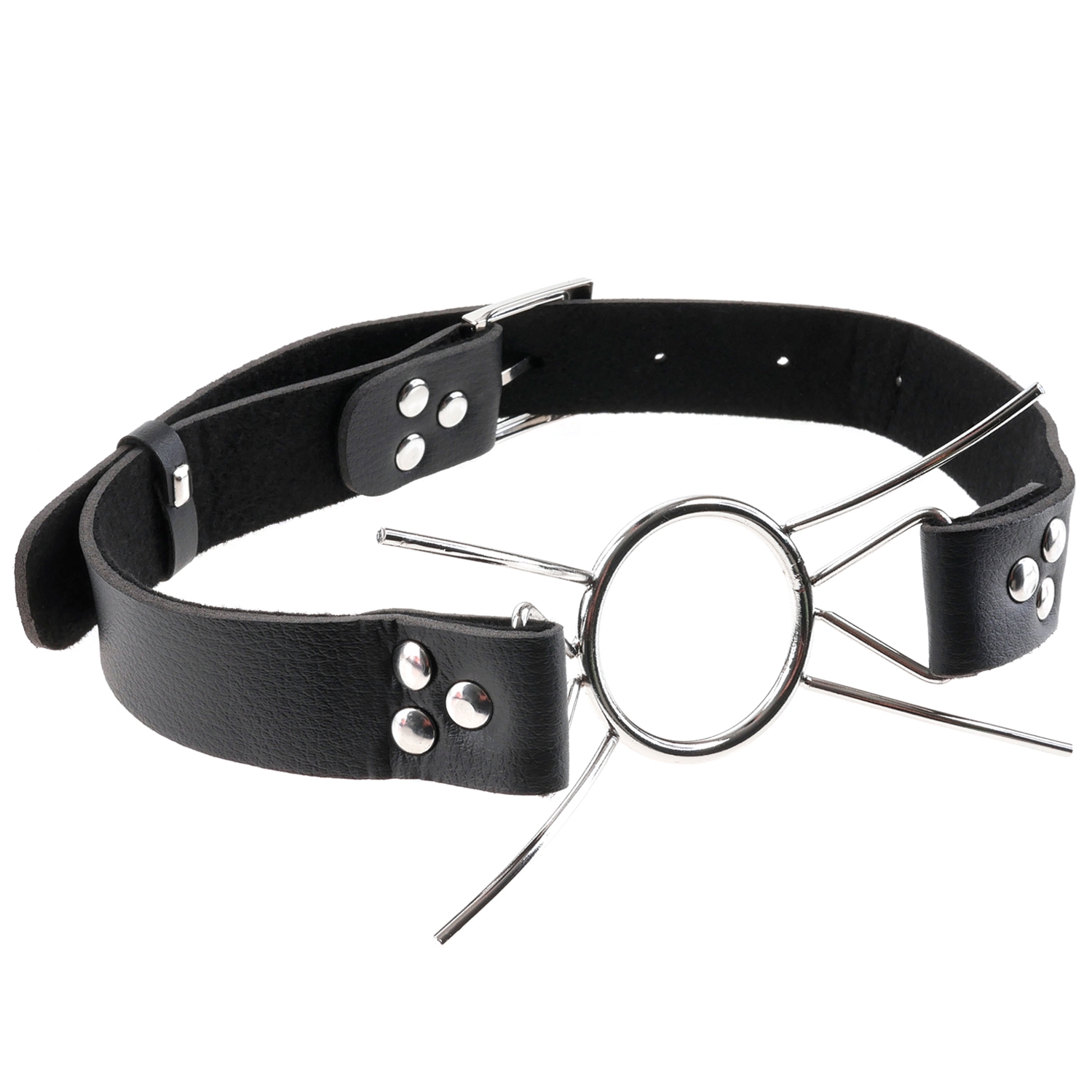 Fetish Fantasy Extreme Spider Gag 1