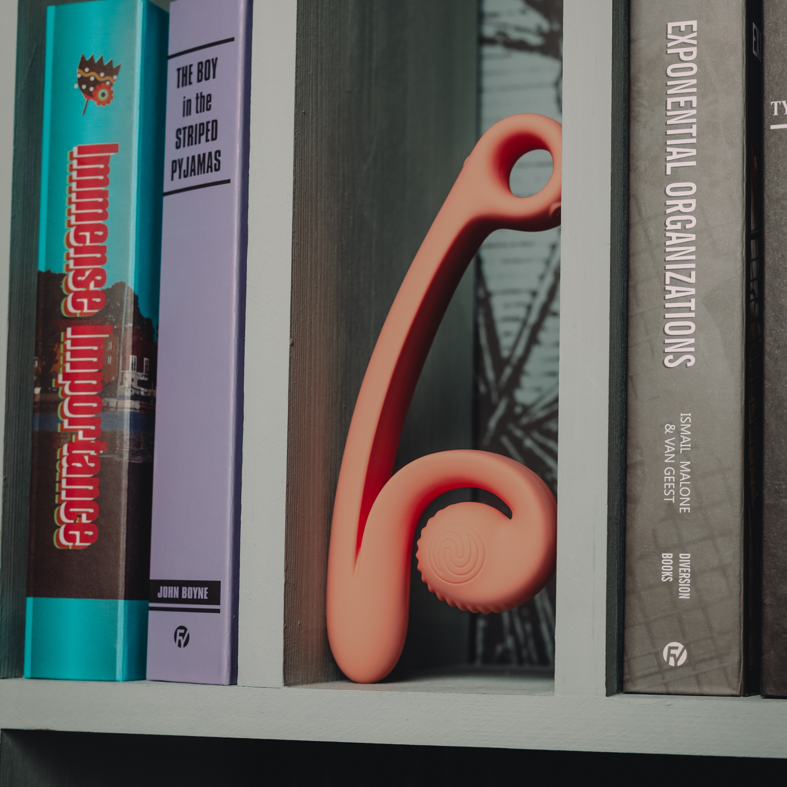 SVibe Snail Curve Wiederaufladbarer Dual Stimulator var 29