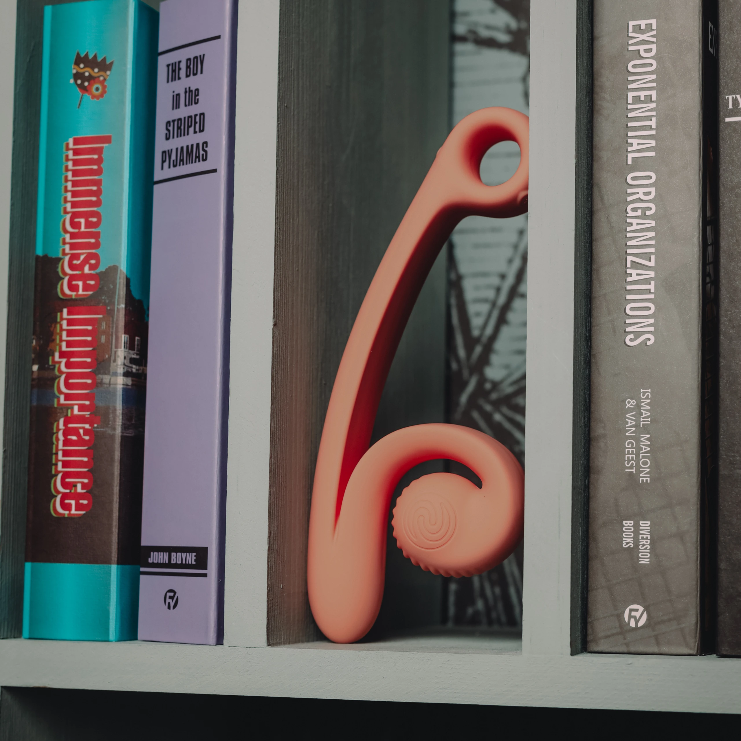 SVibe Snail Curve Oplaadbare Dubbele Stimulator var 29