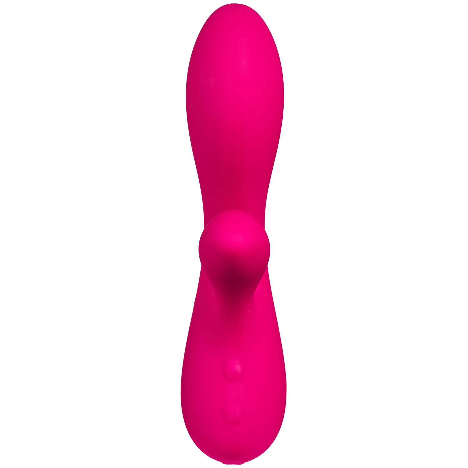 SWAN de Zilveren Zwaan 1