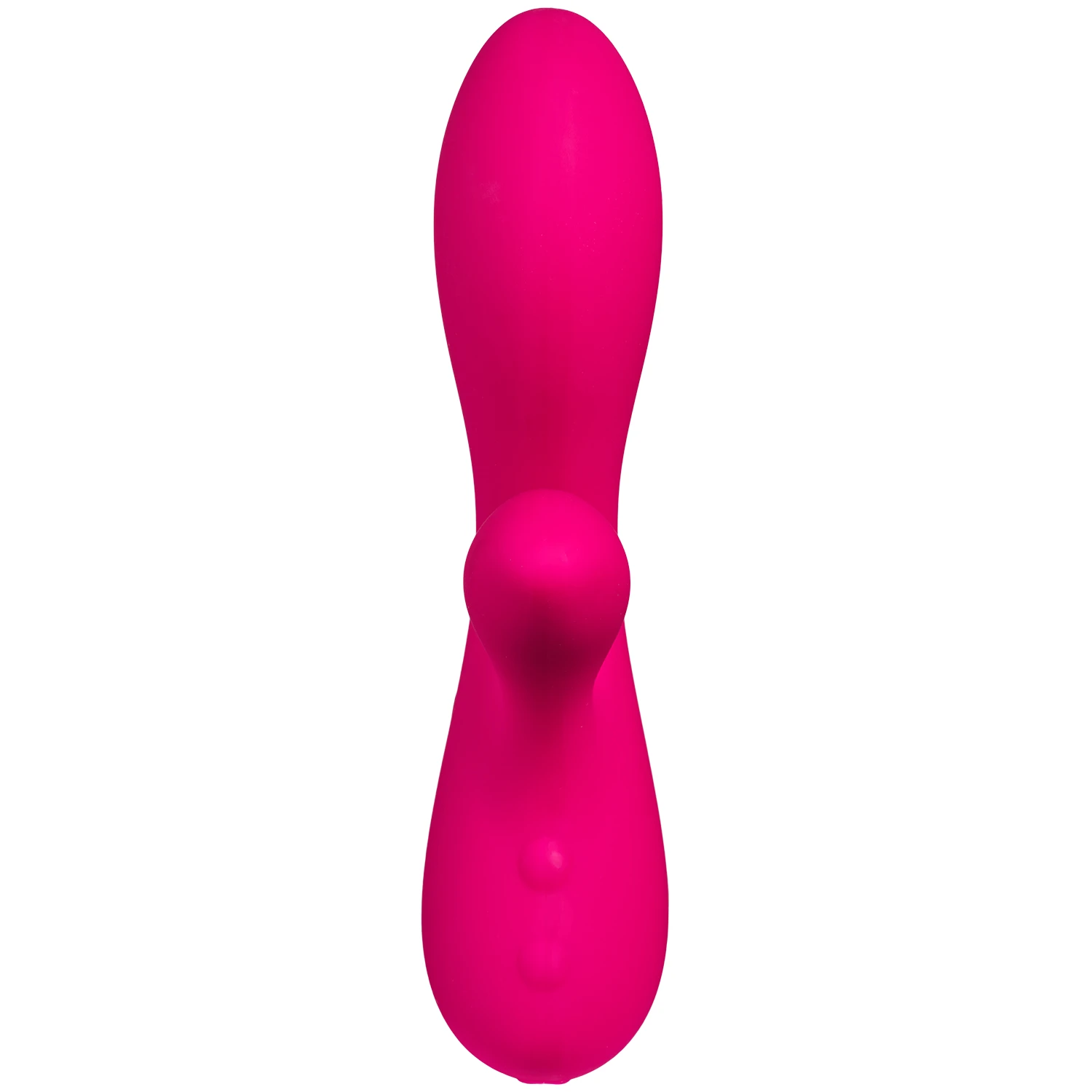 SWAN Der Silver Swan 1