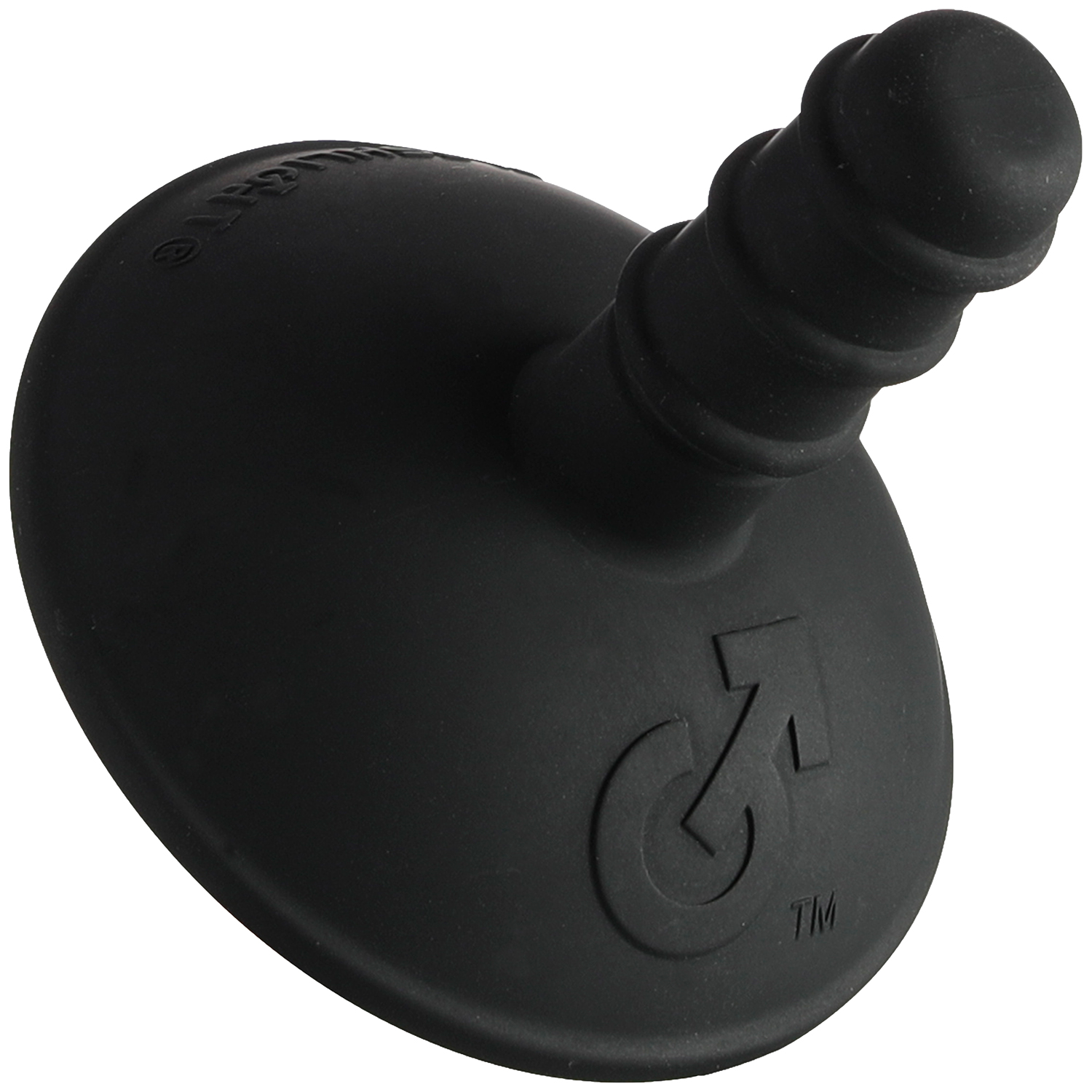 Fleshlight Dildo Zuignap 1