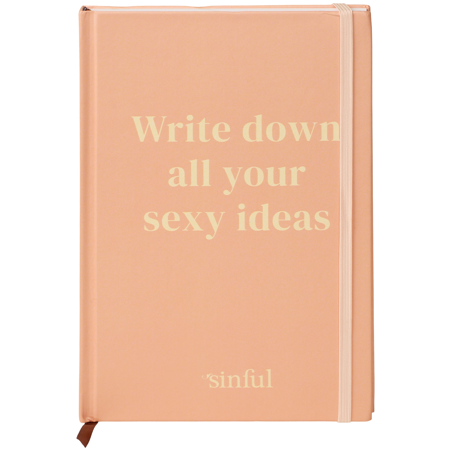 Write Down All Your Sexy Ideas Notebook var 2