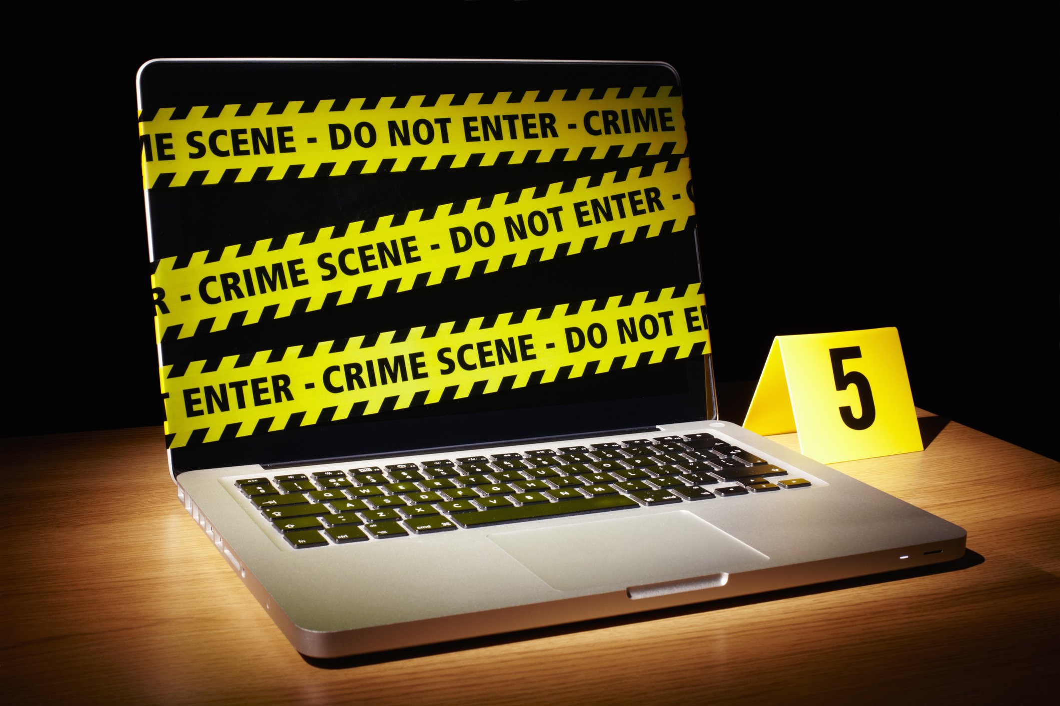 A Comprehensive Layered Approach to Combat Synthetic Identity Fraud - Vimarsana News