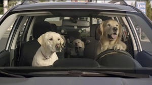 The driving dogs control three of the top five automotive ad spots of the week