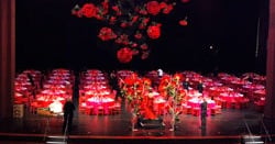 Encore Roses Stage Coming Up Roses