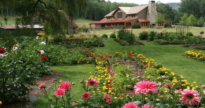 Farm Fresh: How Outdoor Venues Are Embracing the Farm-to-Table Movement