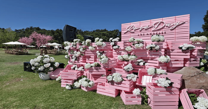 Toast to Summer With These 18 Rosé-Inspired Event Ideas