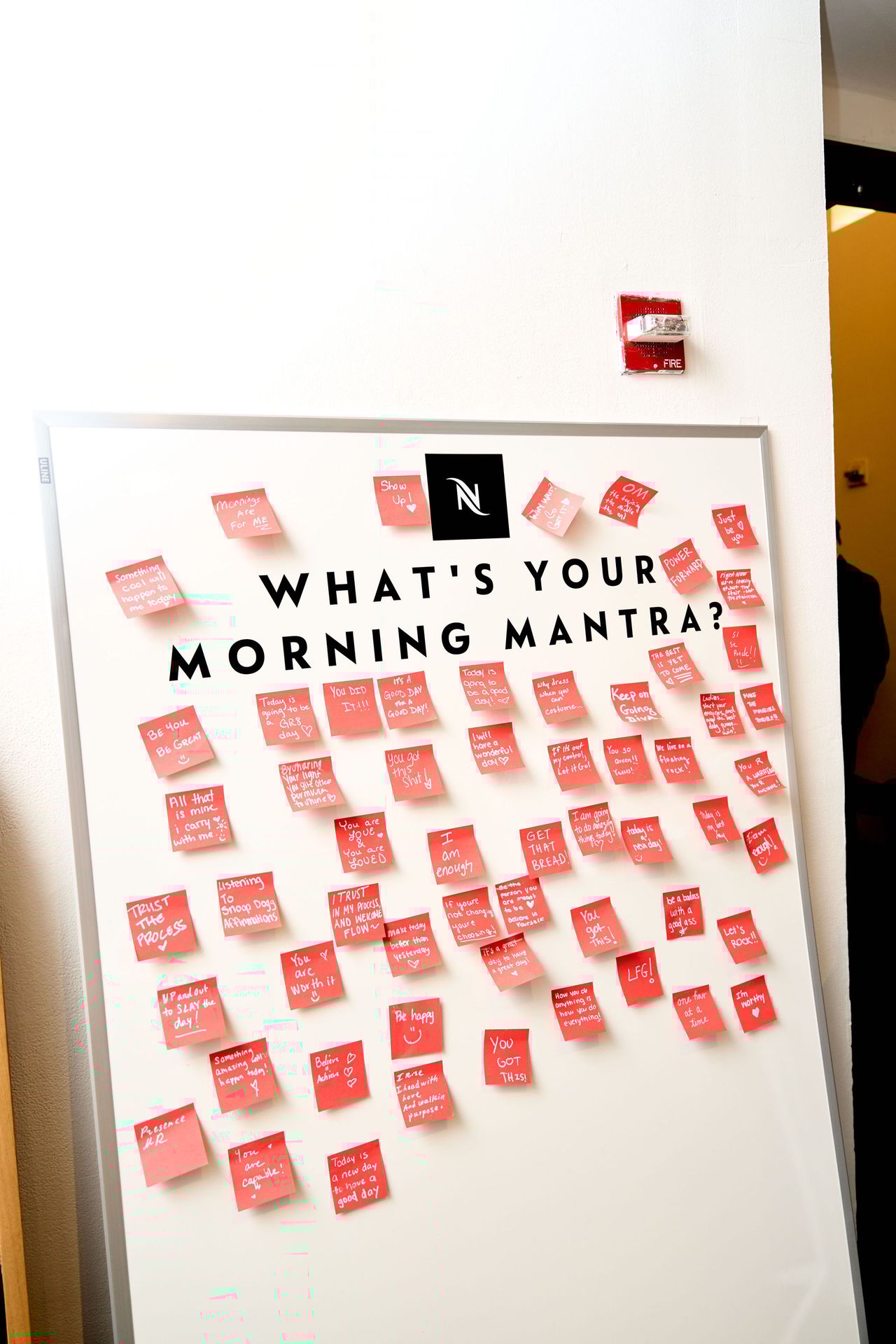 10-10-2025_ProjectHealthyMinds_SpringStudios_311_ADave.jpg 10-10-2025_ProjectHealthyMinds_SpringStudios_311_ADave.jpg