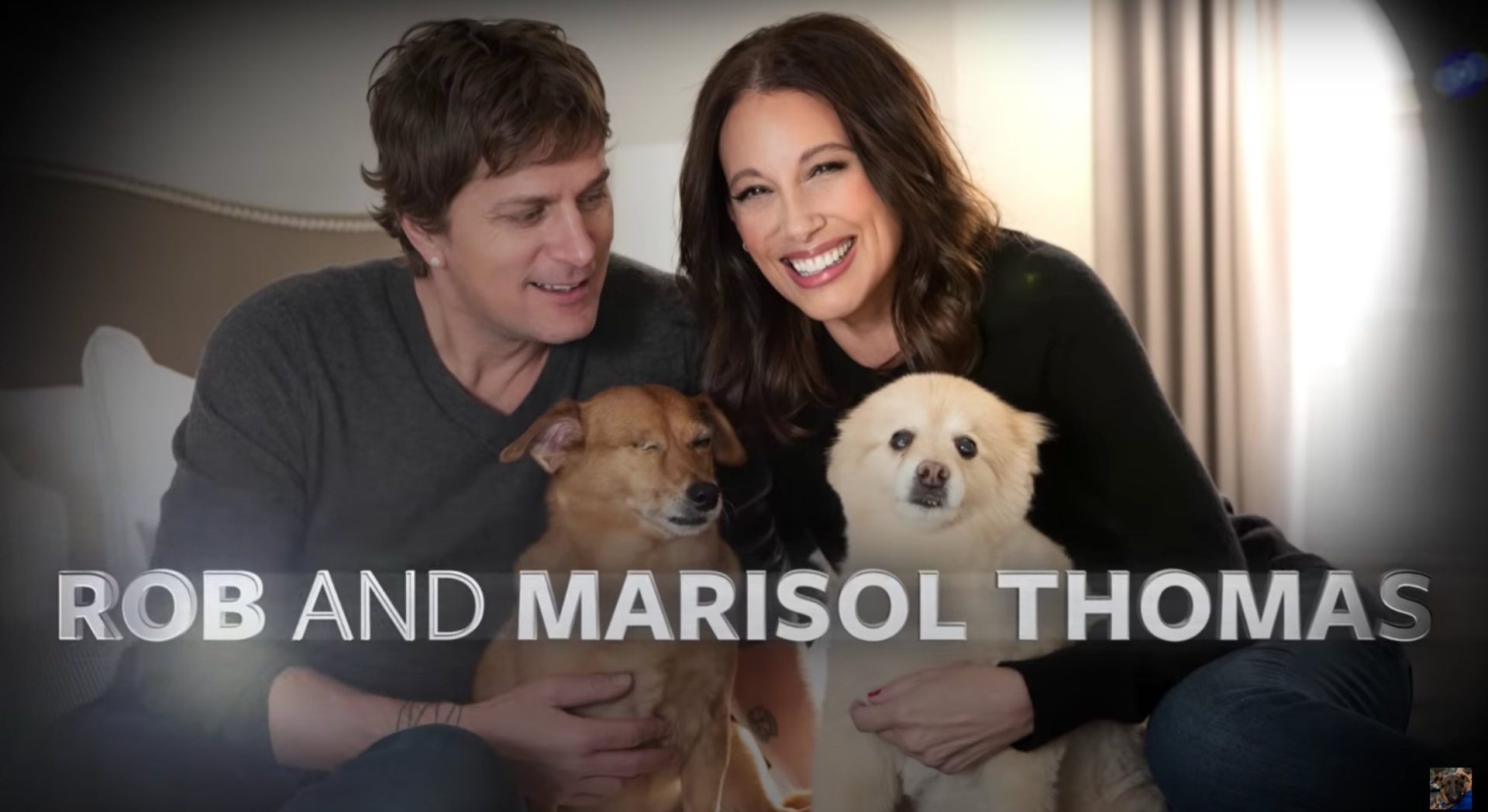 How the Humane Society of the United States' Virtual Gala Was Planned ...