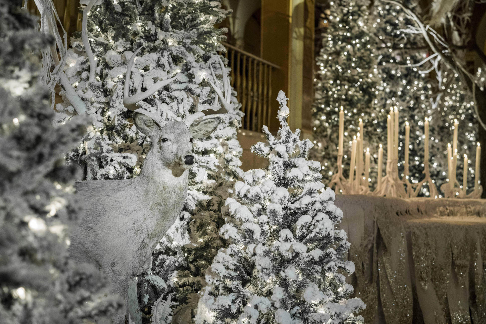 Turn Your Events Into Winter Wonderlands with Snow Effects