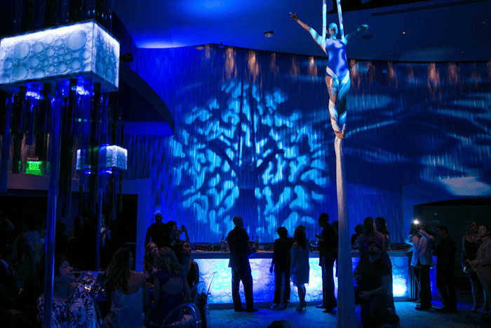 09aerialy.png 09aerialy.png