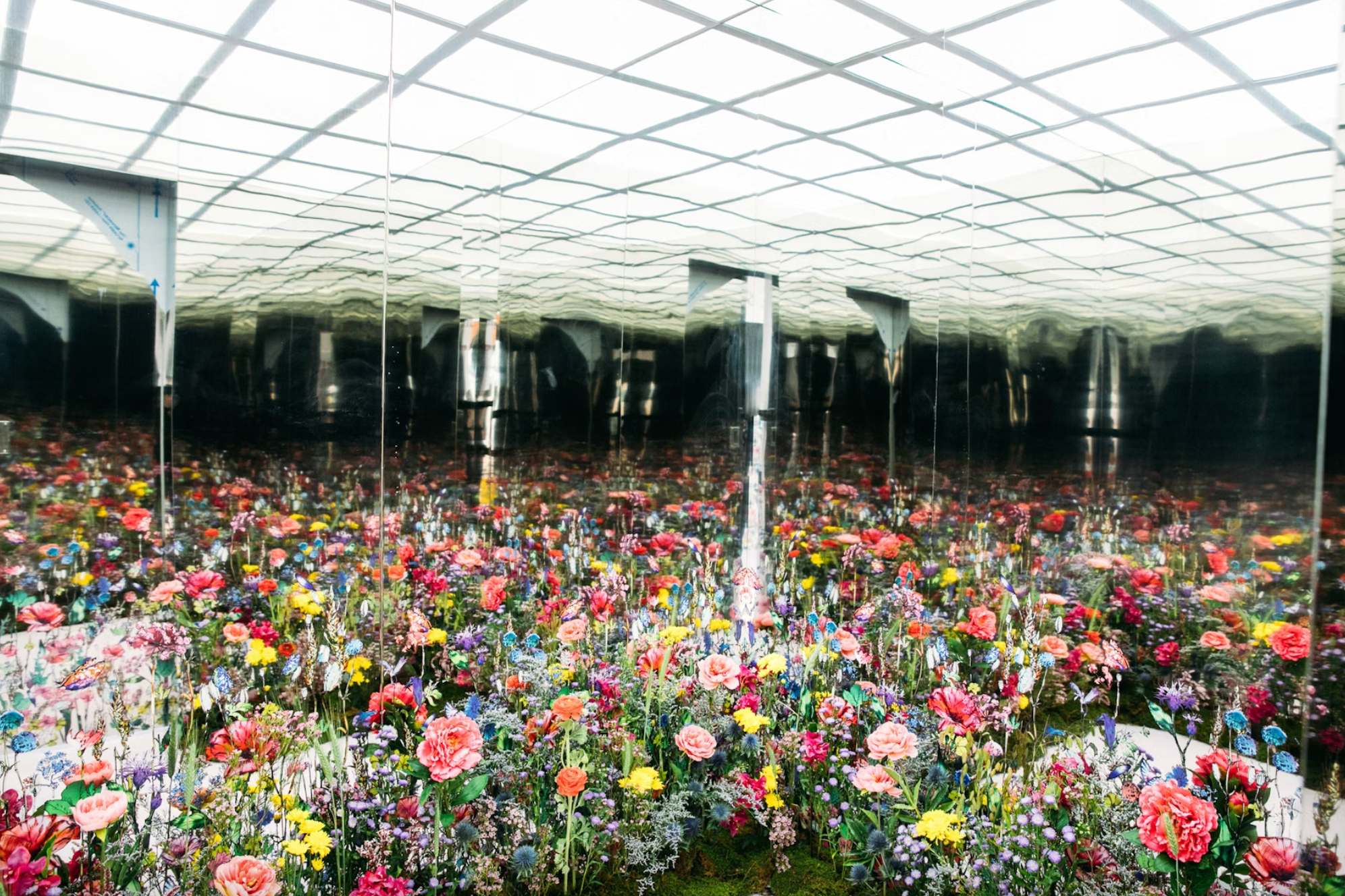 Infinity Rooms at Events