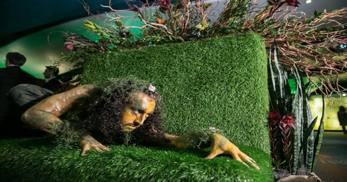 12 Ideas for Bringing Earth Elements to Life Through Decor
