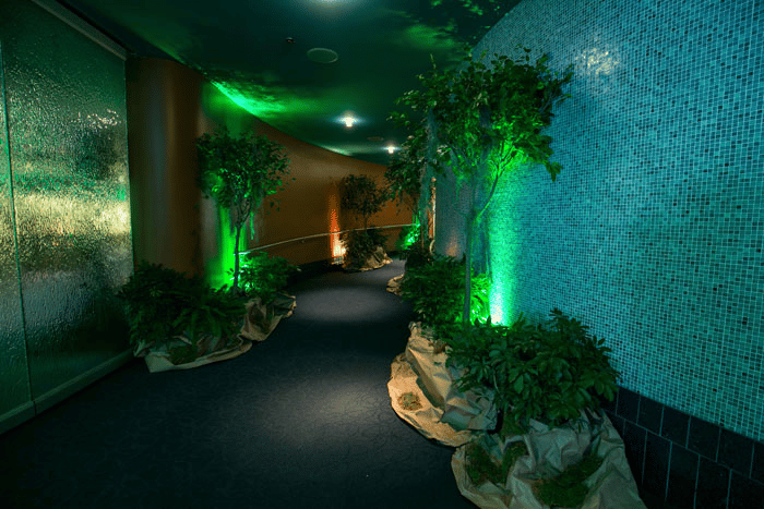 01earth_entrance_1.png 01earth_entrance_1.png