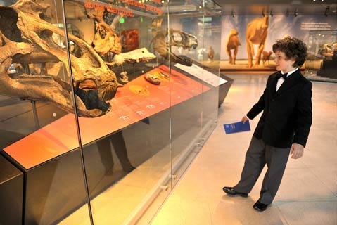 Natural History Museum's Big New Hall Opens With Dino-Hunt Theme Ball Natural History Museum's Big New Hall Opens With Dino-Hunt Theme Ball