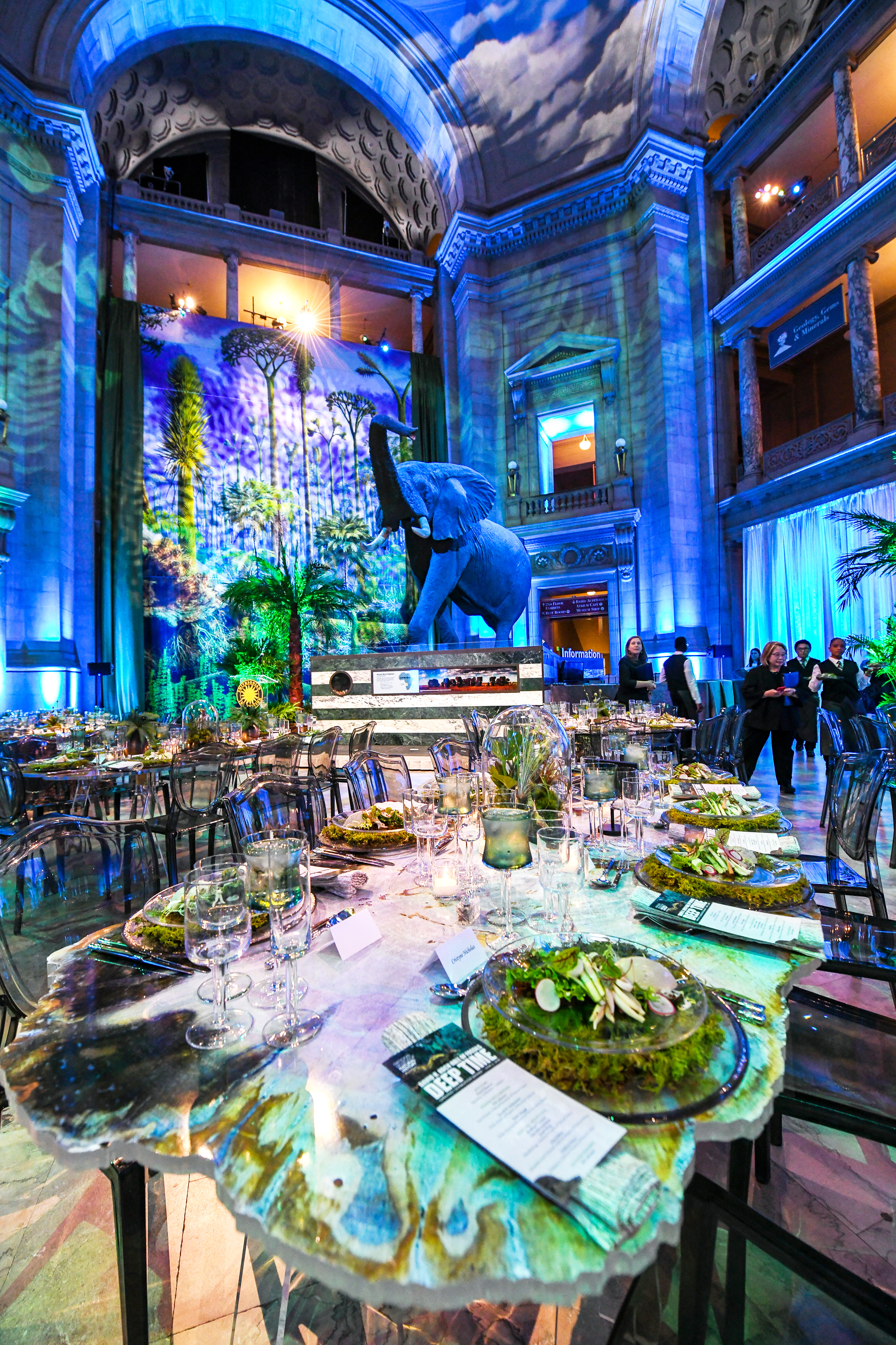 Nature-Themed Event Decor