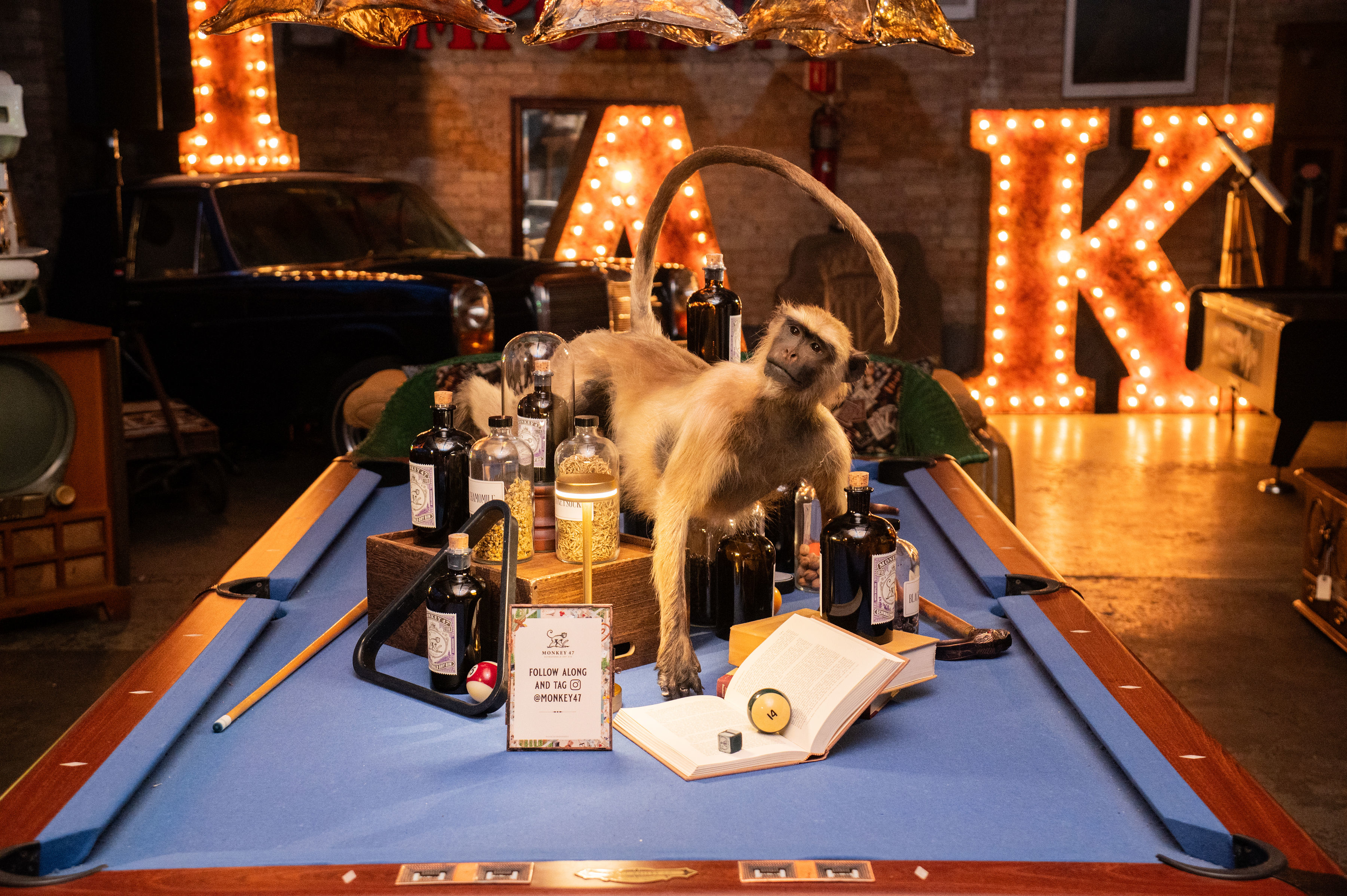 Inside Monkey 47’s Mysterious Event Tour