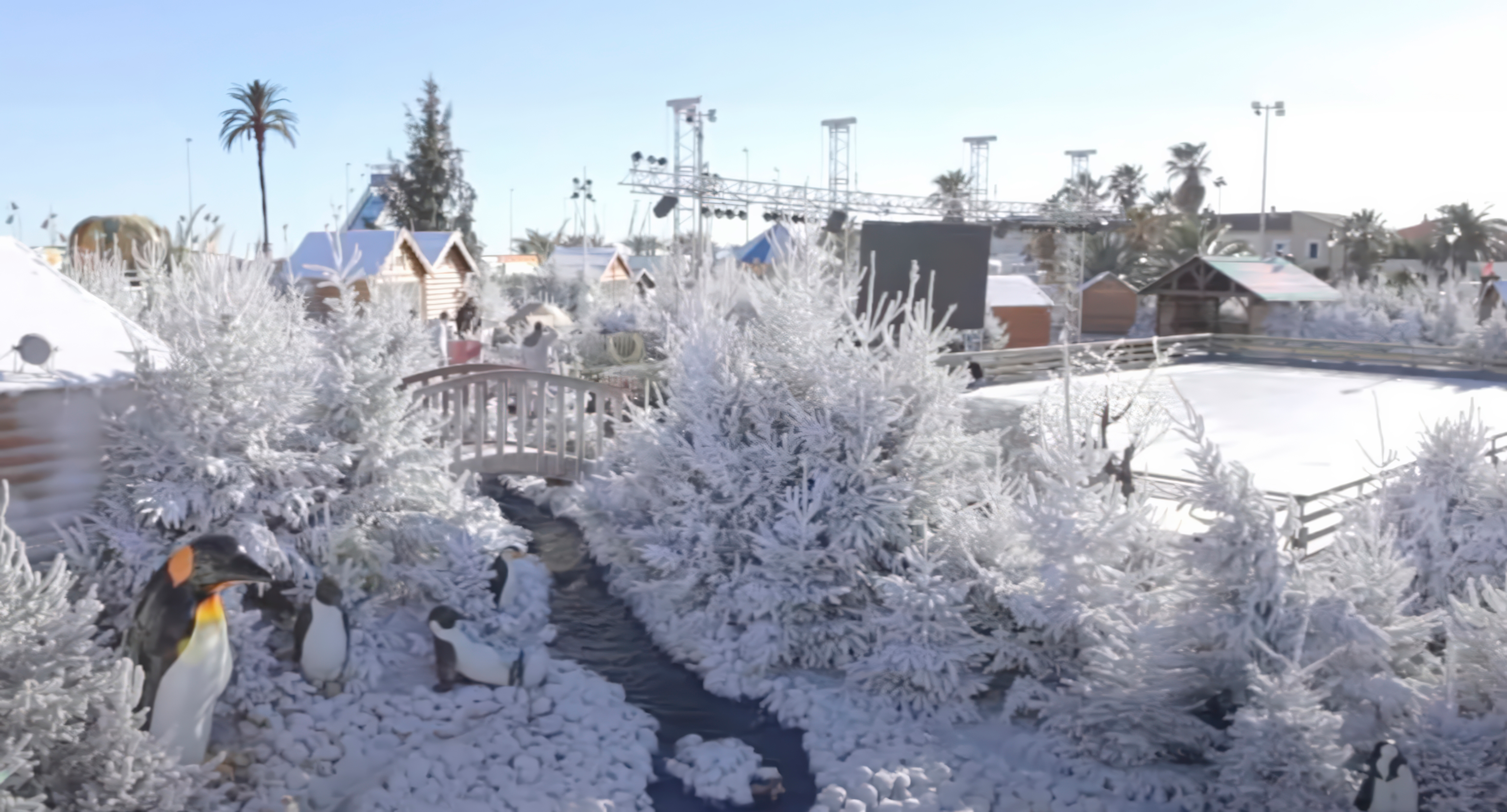 Turn Your Events Into Winter Wonderlands with Snow Effects