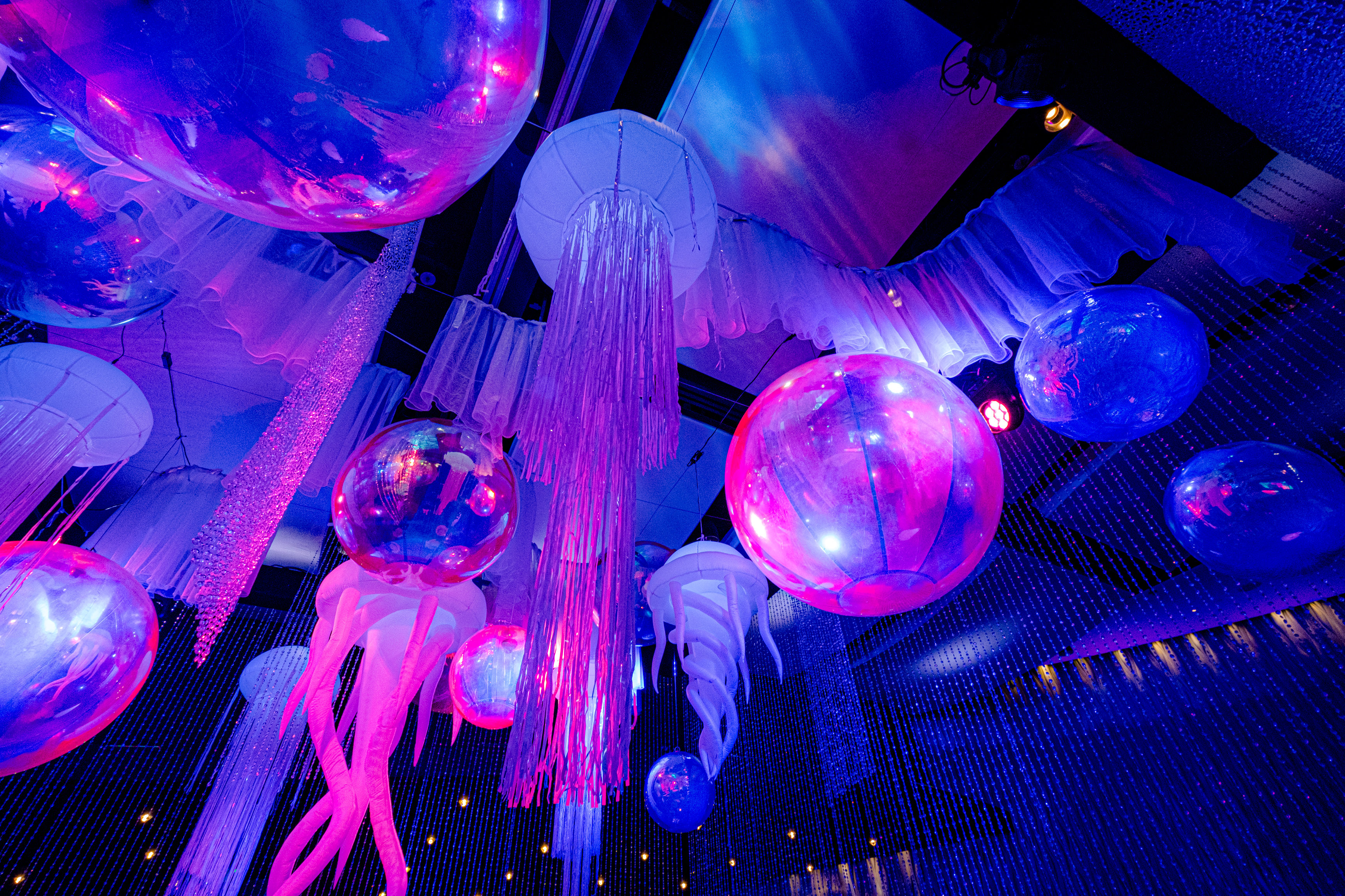 Fresh Ideas for an Under-the-Sea Event Theme, image size:3464x2309