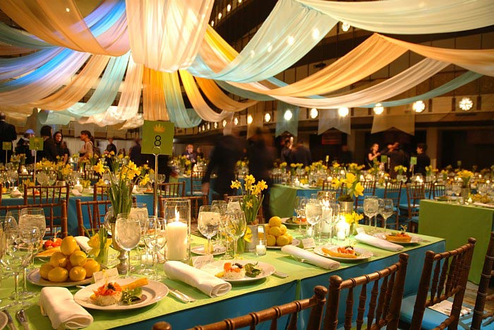 David Stark Design and Production