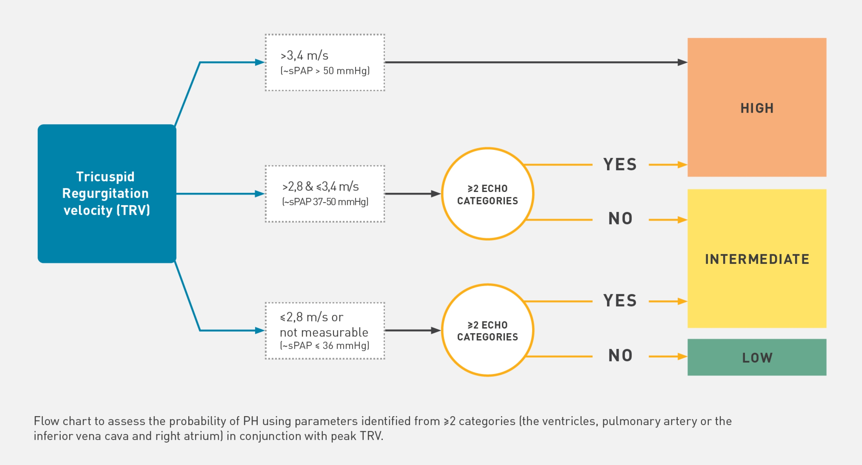 SSC and PAH - Screening - Flowchart