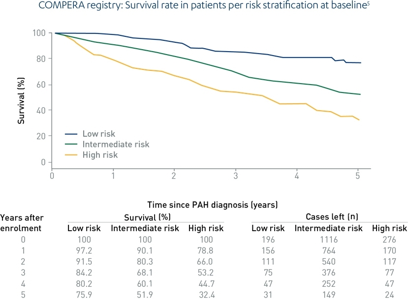 PAH-Explained-Treatment - Prognosis