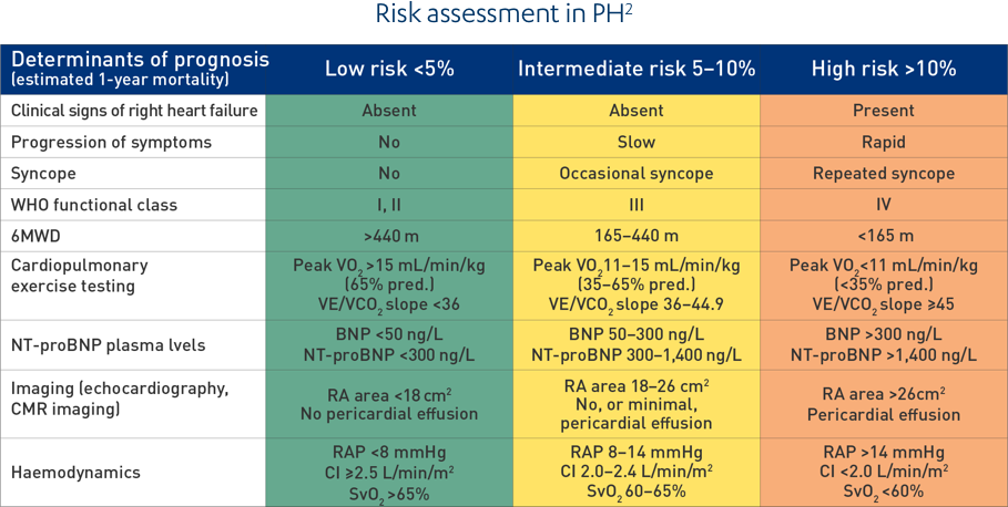 PAH-Explained-diagnosis - risk management