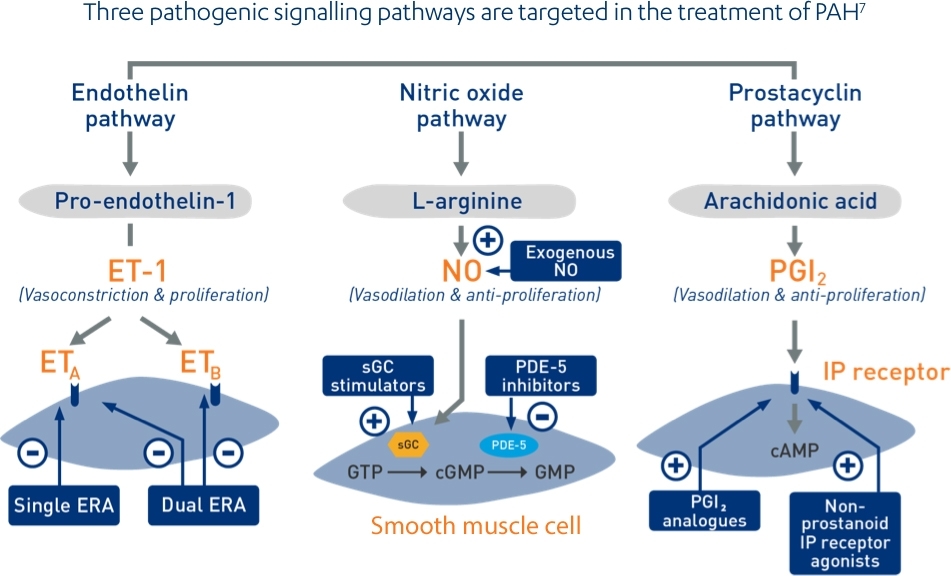 PAH-Explained-Treatment - treatment of PAH