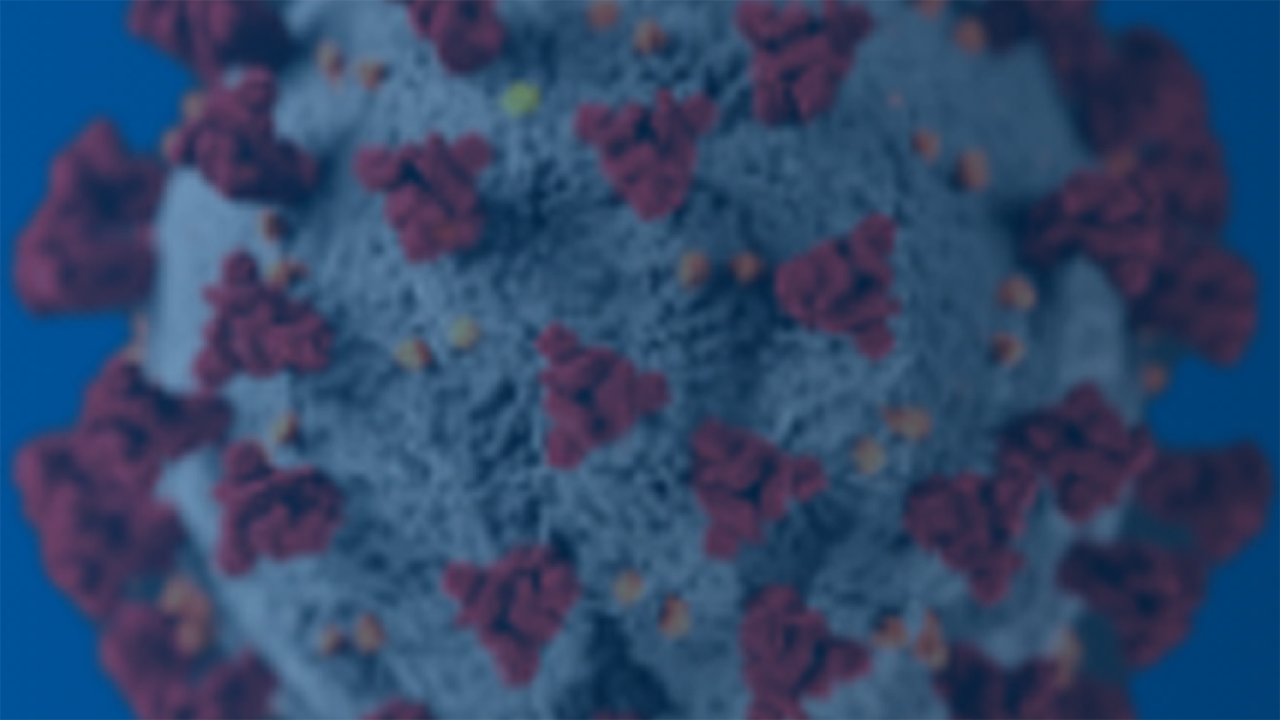 Covid-19: informatie omtrent gebruik Stelara