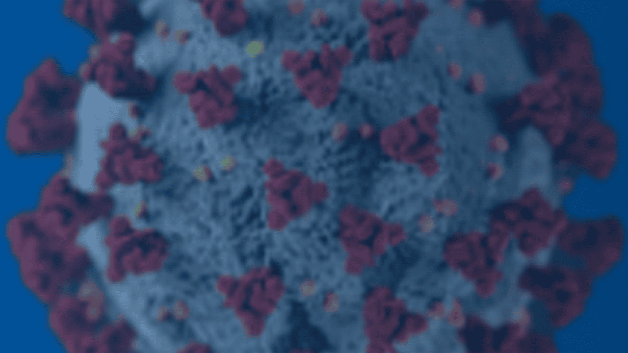 Banner-covid-19-v2 Banner-covid-19-v2