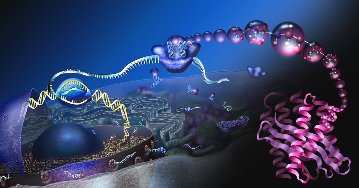 Microbial Ribosomal Rna Shapeshifting ribosomal RNA protects bacteria from antibiotics