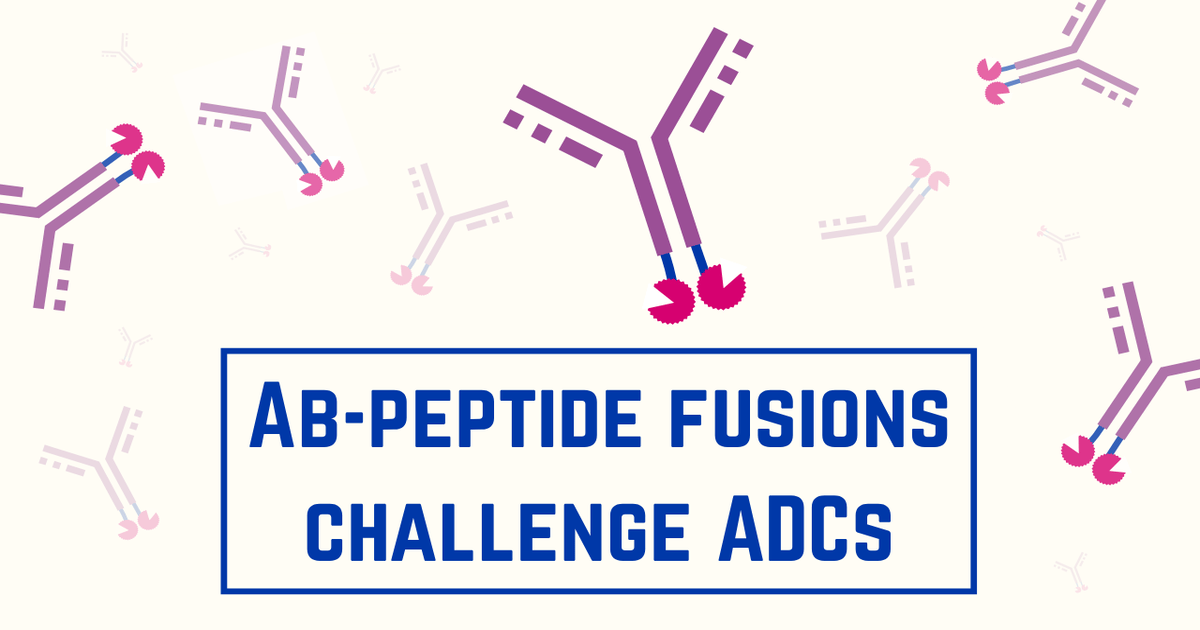 Antibody–Peptide Fusions Emerge as Alternative to ADCs