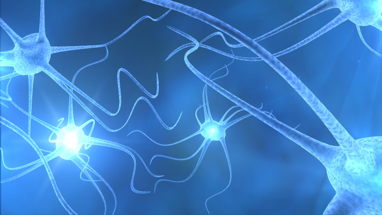 κοντινό πλάνο πολλών νευρώνων