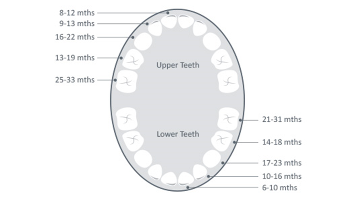 mikor fognak megjelenni a gyermekem fogai