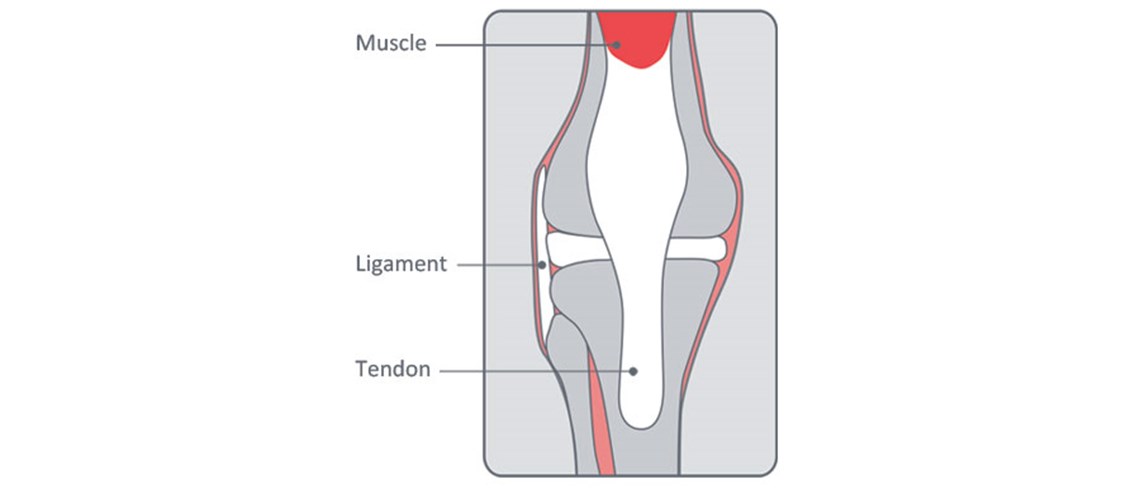 strains sprains