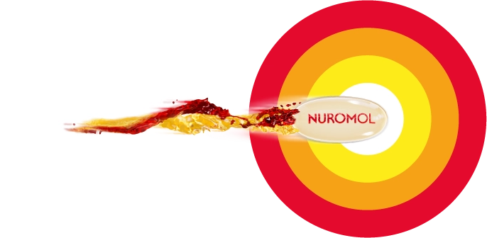 nuromol