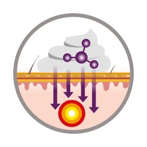 Fast Absorption