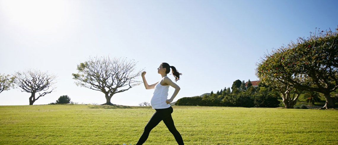 What are the Pregnancy Health Essentials?