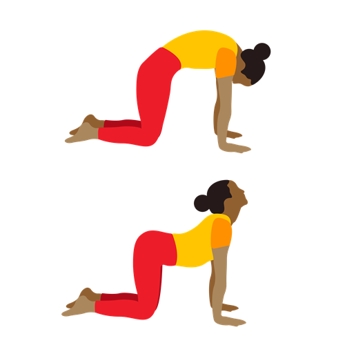 Person on their hands and knees, arching their back