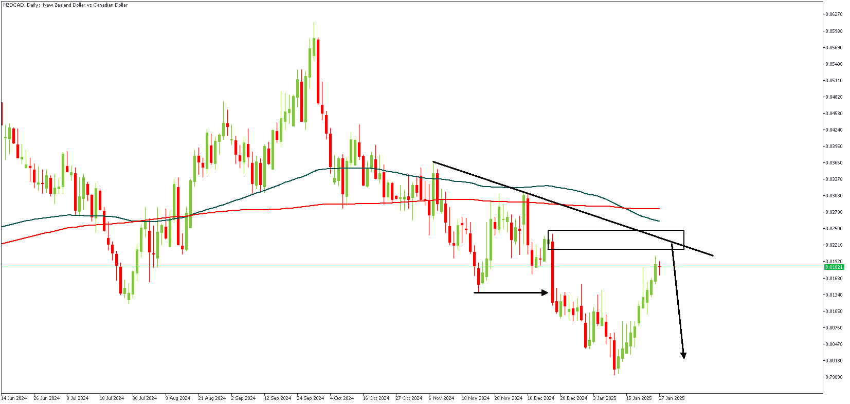 NZDCADDaily_(3).png