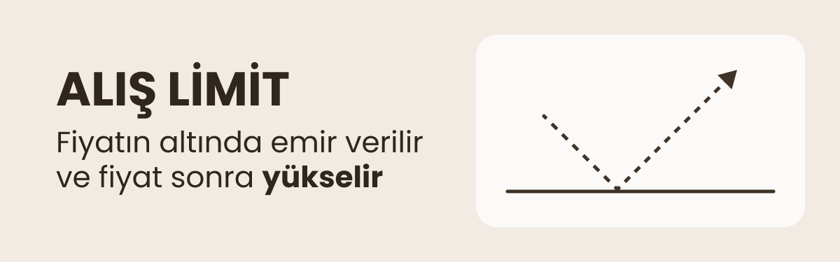 ALIŞ LİMİTİ