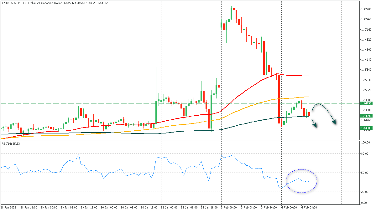 USDCADH1_040225.png