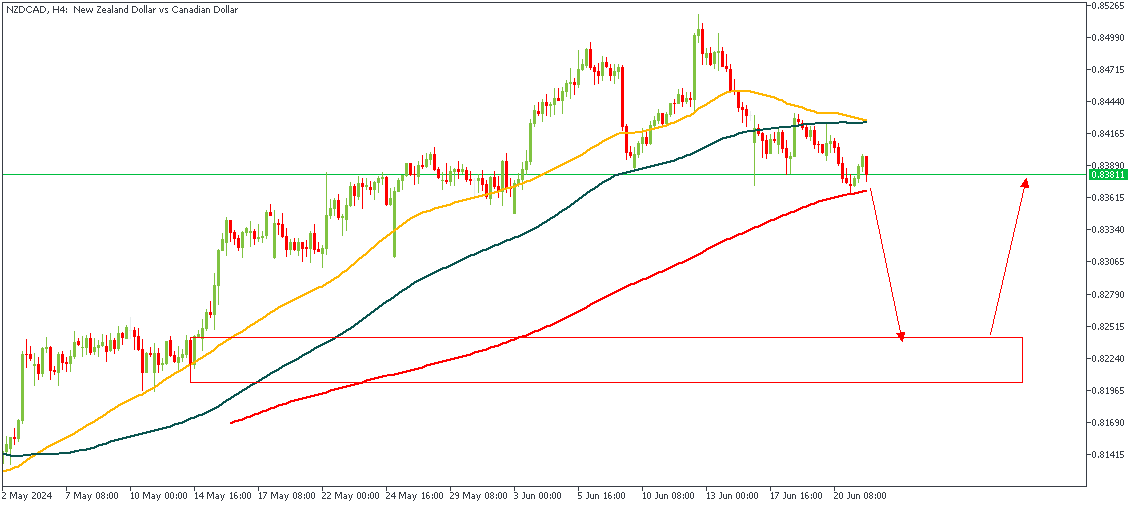 NZDCADH4 (2).png