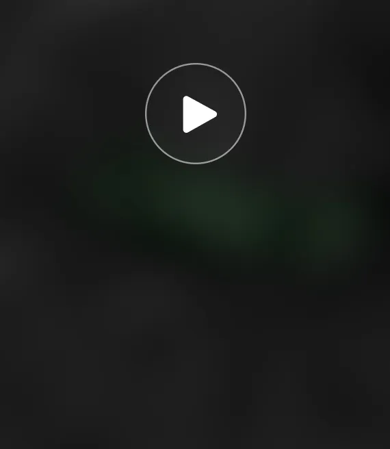 Video_6.webp