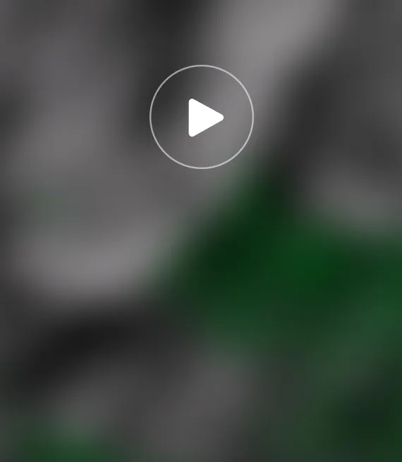 Video_9.webp